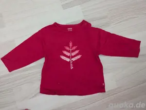 Langarmoberteile - Longsleeves - Größe 74 - Mädchen Bild 3