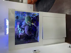 Meerwasser Aquarium 300x80x75 Komplett-Abgabe Auflösung Bild 3