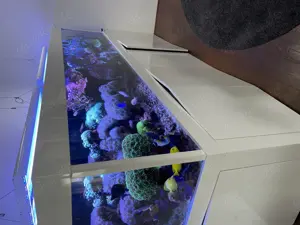 Meerwasser Aquarium 300x80x75 Komplett-Abgabe Auflösung Bild 4