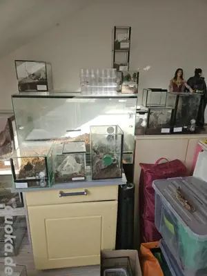 Terrarium  Terrarien in vielen verschiedenen Größen 