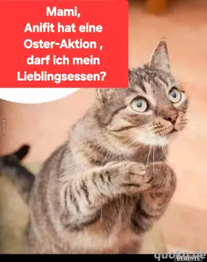 Anifit Oster Aktion im. Shop 