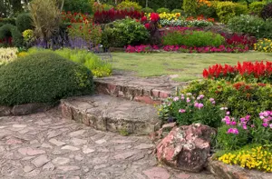 Hausmeisterservice & Gartenarbeit in Düsseldorf & Umgebung