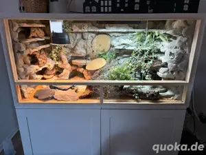 Terrarium 120x60x60 cm komplett eingerichtet
