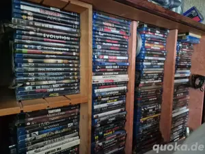 Über 600 DVDs.