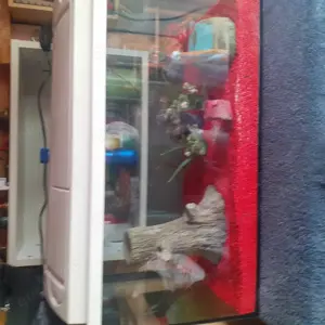 Aquarium mit Zubehör 