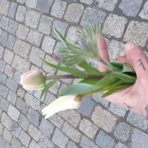 Heute den ganzen Tag...