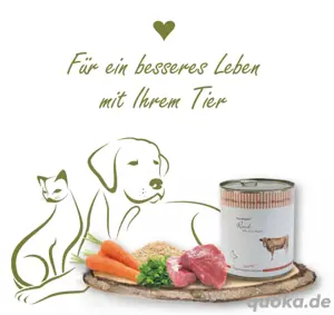 Hundefutter von Reico Bild 3