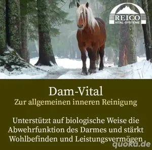 Zusatzfutter für s Pferd von Reico Bild 4