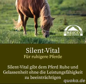 Zusatzfutter für s Pferd von Reico Bild 5