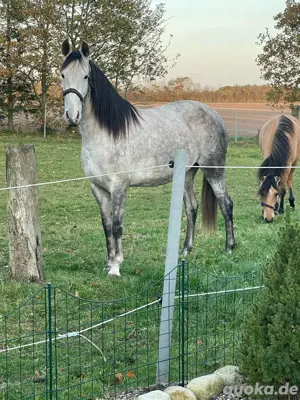 Pepita De Altajara