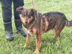 Shuri, sucht eine liebevolle Familie