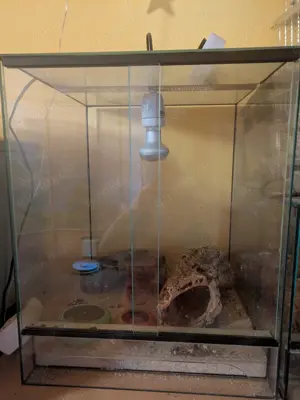 Glasterrarium, Terrarium 40x40x50