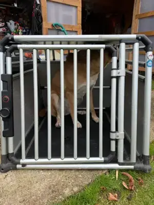 Pro 4 Large    4Pets Boxen    bei München Bild 4