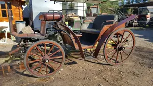 Parkwagen Zweispänner Kutsche Pony Kleinpferd Holz