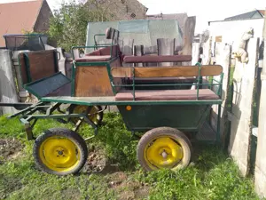 Kutsche Zweispänner Wagonette Kleinpferd Pony