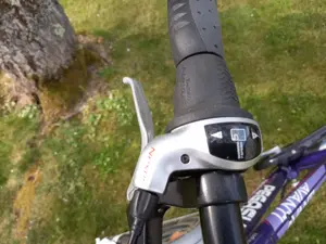 Fahrrad Pegasus Bild 3