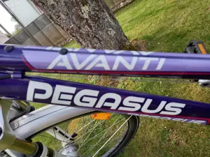 Fahrrad Pegasus Bild 4