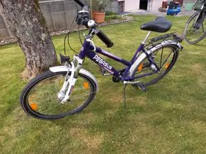 Fahrrad Pegasus Bild 2