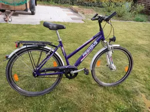 Fahrrad Pegasus