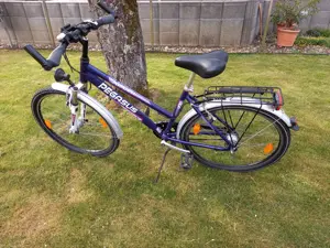 Fahrrad Pegasus Bild 5
