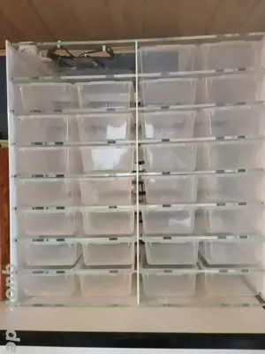 Schlangenrack, Rack, Aufzuchtrack