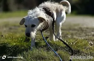 GAYANO    zeigt 'anders sein ist cool' Bild 7