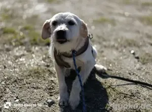 GAYANO    zeigt 'anders sein ist cool' Bild 5