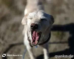 GAYANO    zeigt 'anders sein ist cool' Bild 4