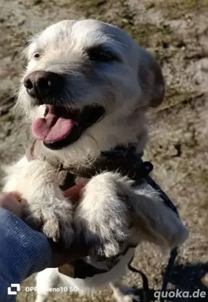 GAYANO    zeigt 'anders sein ist cool' Bild 10