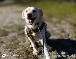 GAYANO    zeigt 'anders sein ist cool' Bild 2