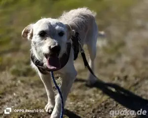 GAYANO    zeigt 'anders sein ist cool' Bild 8