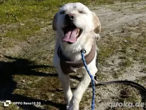 GAYANO    zeigt 'anders sein ist cool' Bild 9