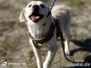 GAYANO    zeigt 'anders sein ist cool' Bild 3