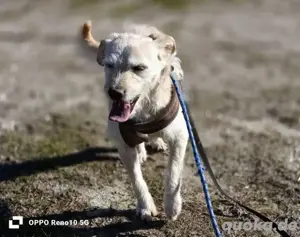 GAYANO    zeigt 'anders sein ist cool' Bild 6