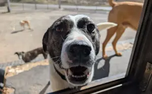 Schenkst du dem tollen Nuca dein Herz? Bild 4