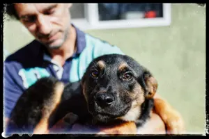Cooper sucht eine liebevolle Familie