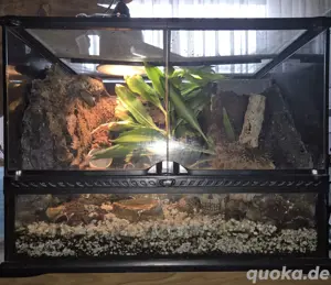 exo terra Terarium 