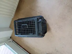 Katzen Transportbox 