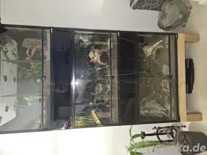 Terrarium 90x45x45