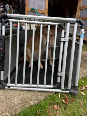 Pro 4 Large    4Pets Boxen    bei München Bild 3