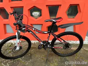Jugendrad KS Cycling Phalanx, 24 Zoll Rh 38