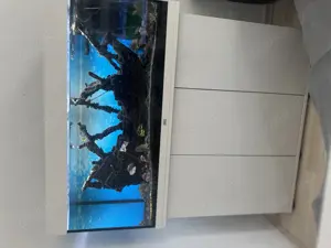 Juwel Aquarium 120L