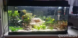 112L Juwel Aquarium, Komplett Ausgestattet!