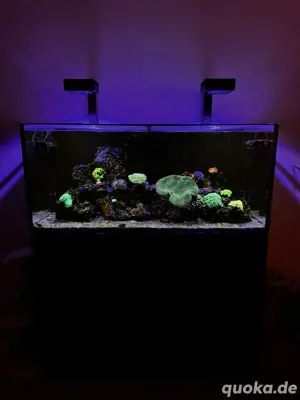 Meerwasseraquarium RedSea
