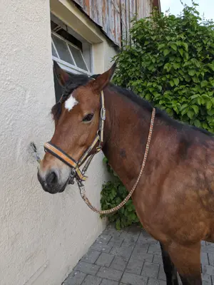 Pflegebeteiligung 