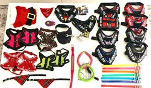 grosses Hunde Zubehör Paket | Chihuahua kleine Hunde | K9-Geschirre Leuchties Leinen | fast alle neu