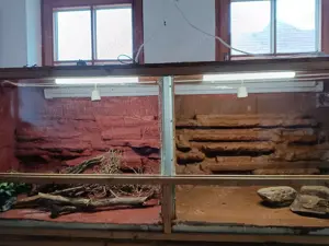  OSB Holz Terrarium mit Frontbelüftung 180x60x60cm inkl. Elektrik