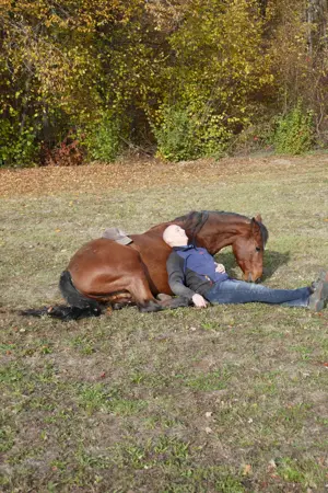 Pferdeausbildung und Reiterausbildung Bild 10