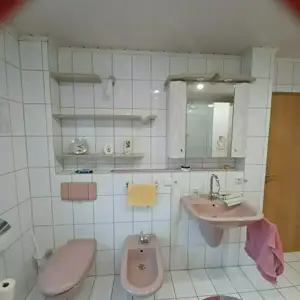 Villeroy&Boch Badezimmer Modell Magnum altrose, Duschtrennwand, Badewanne + Duschwanne Modell Hösch