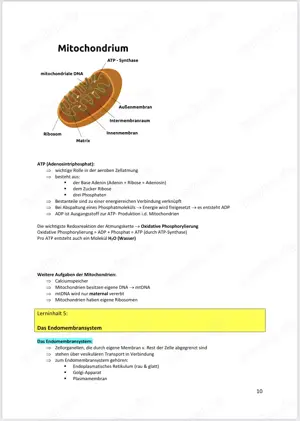Aufnahmeprüfung Unterlagen MedAT 